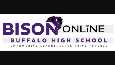 Bison Online