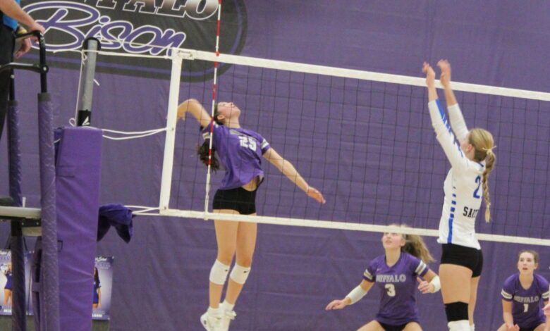 This image shows a player from Buffalo jumping to spike the ball.
