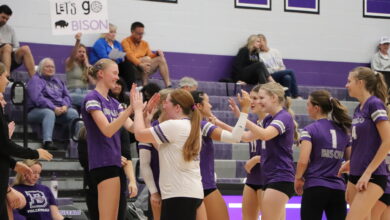 Sophomores on the Varsity Volleyball Team celebrate on the sidelines.